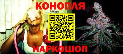 прущие крисы Будённовск
