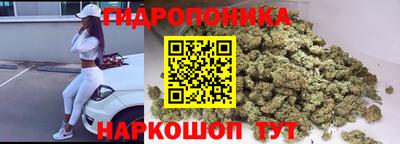 прущие крисы Будённовск