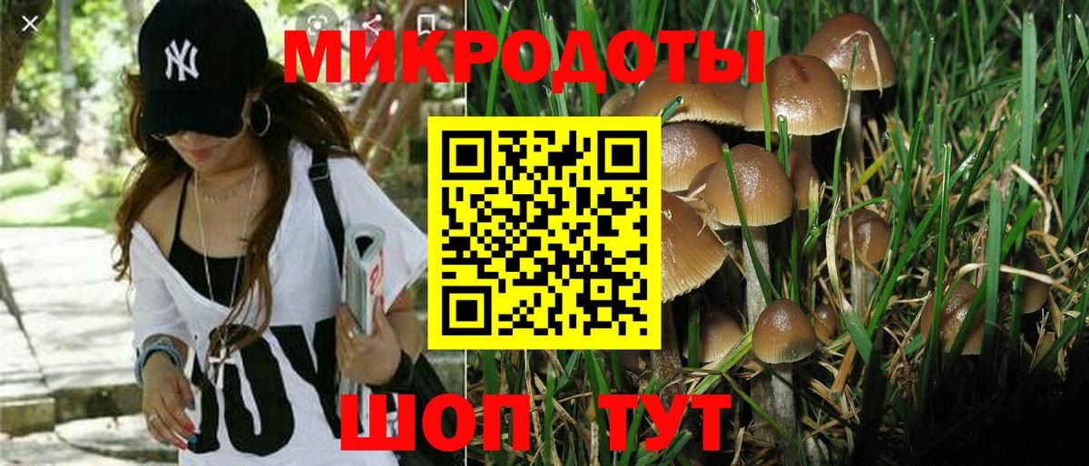 Ачинск  Псилоцибиновые грибы мухоморы  Псилоцибиновые грибы Cubensis  Вход с VPN 